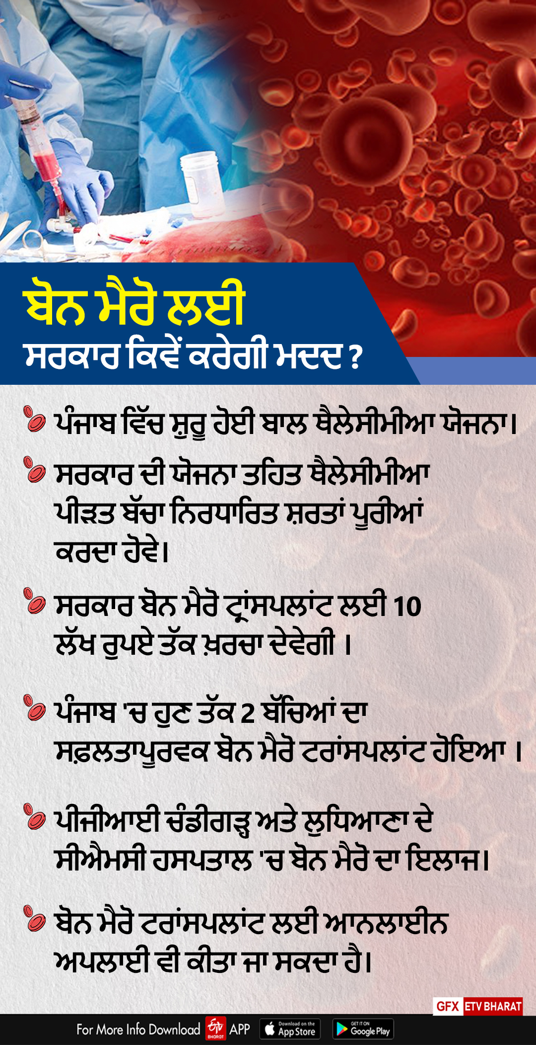 Thalassemia Bal Sewa Yojana, Bone Marrow, What is Thalassemia