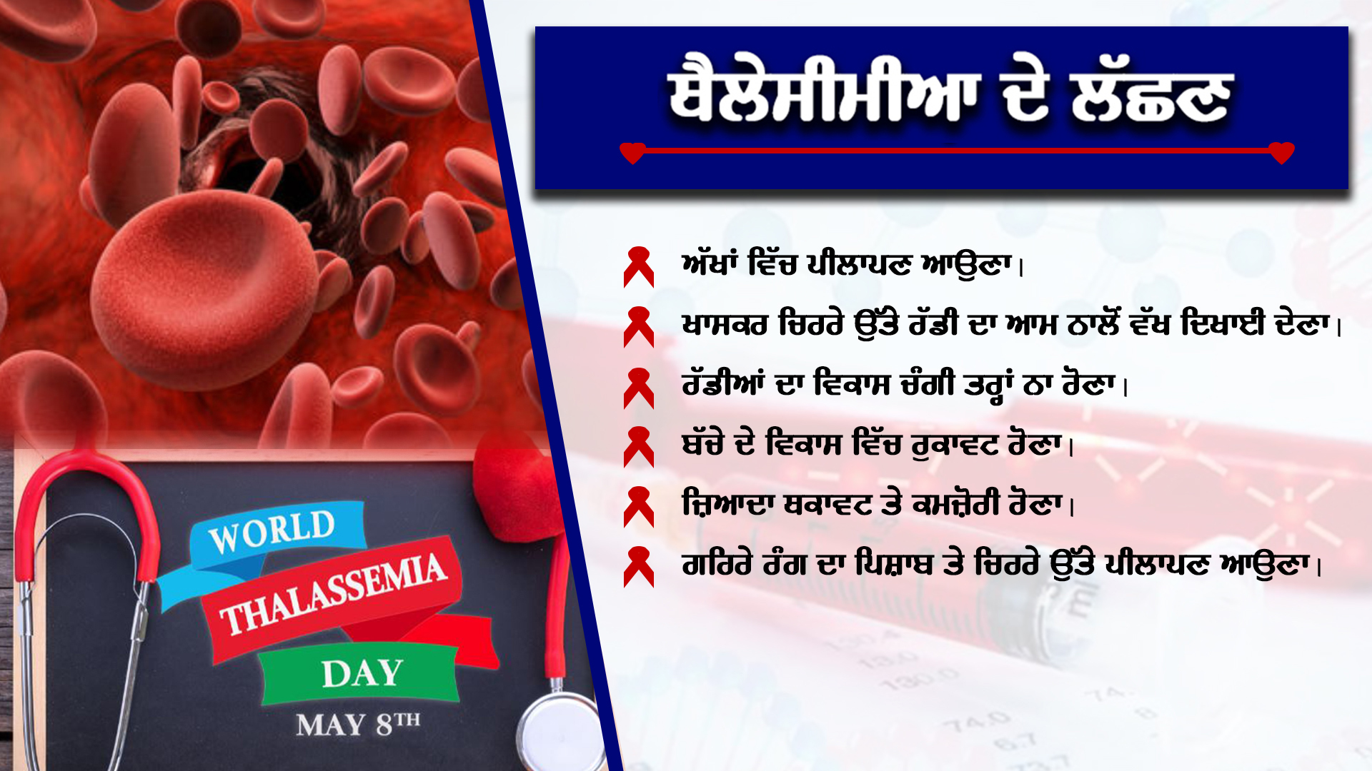 Thalassemia Bal Sewa Yojana, Bone Marrow, What is Thalassemia