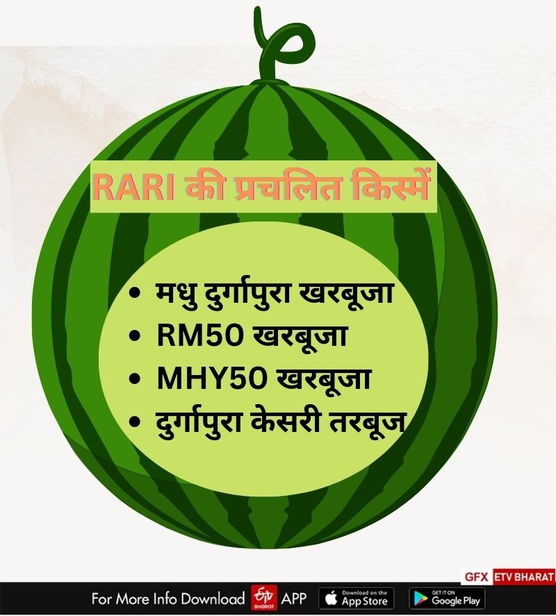 New variety of Muskmelon and Watermelon