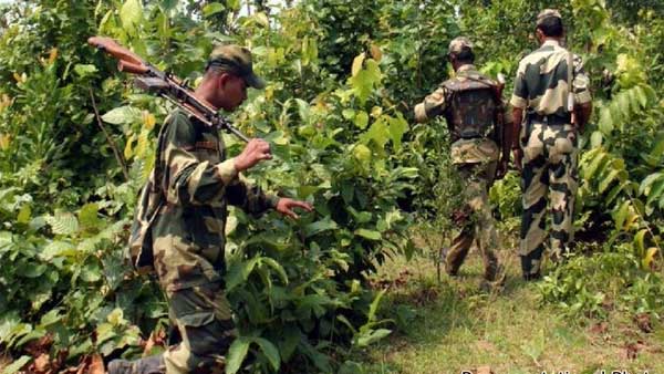 Maoist Camp Busted