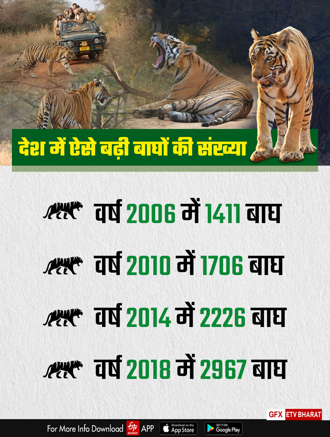 Tiger Deaths in Rajasthan