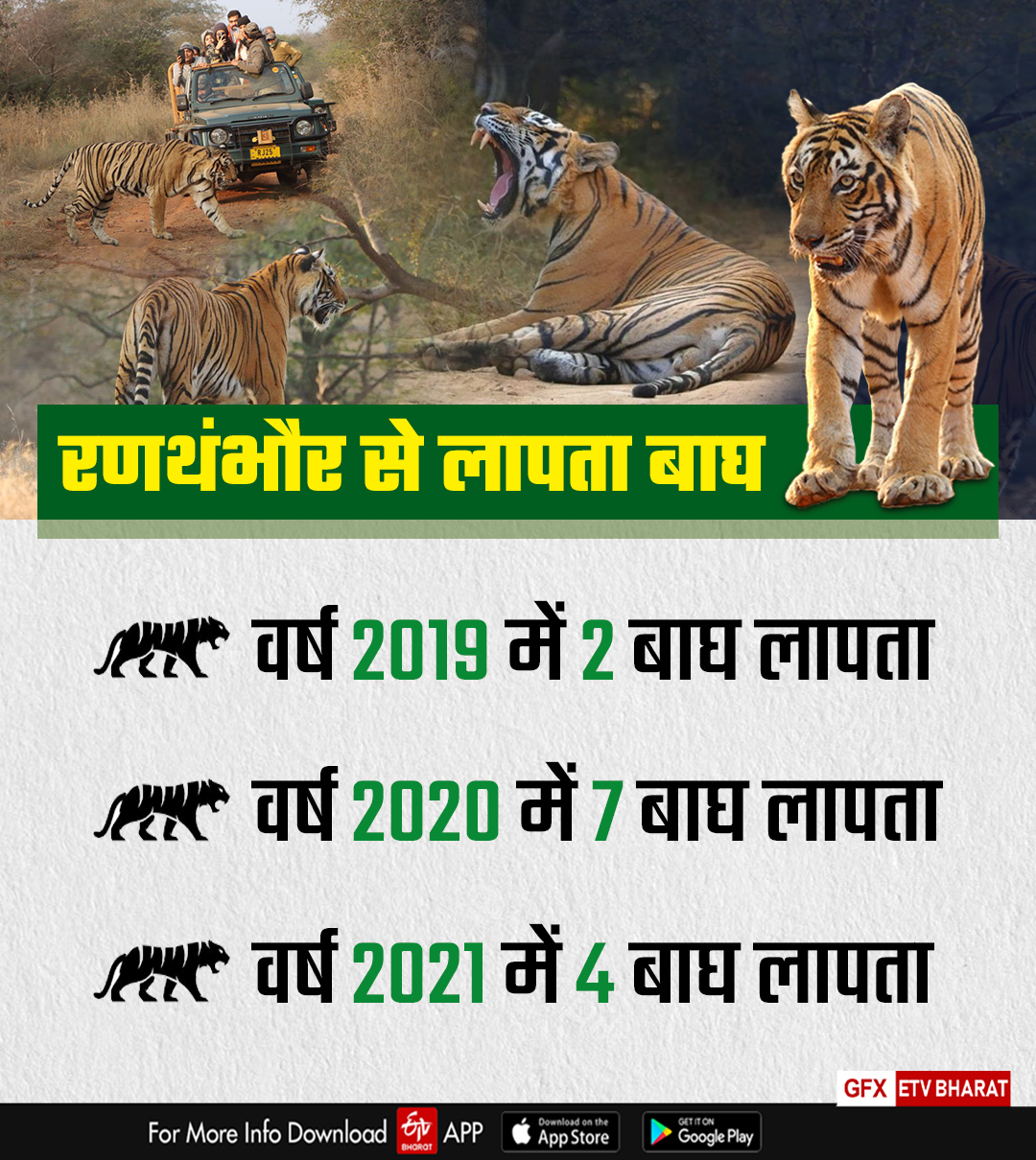 Tiger Deaths in Rajasthan