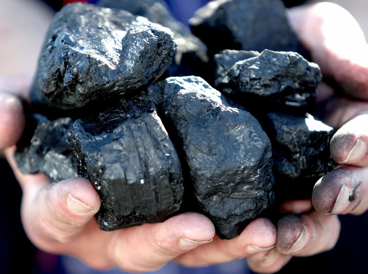 global coal demand