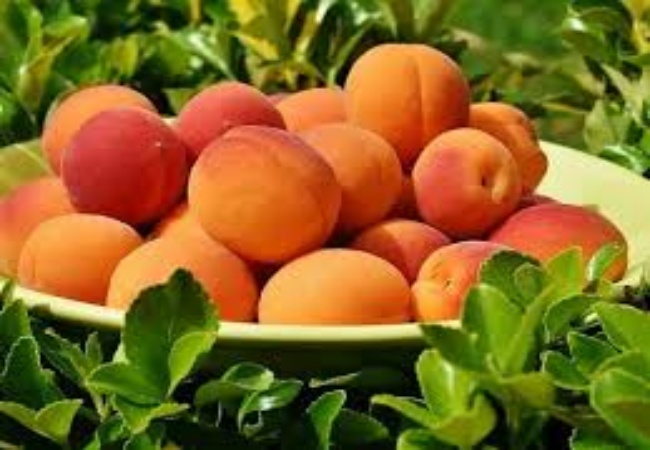 benefits of peach fruit