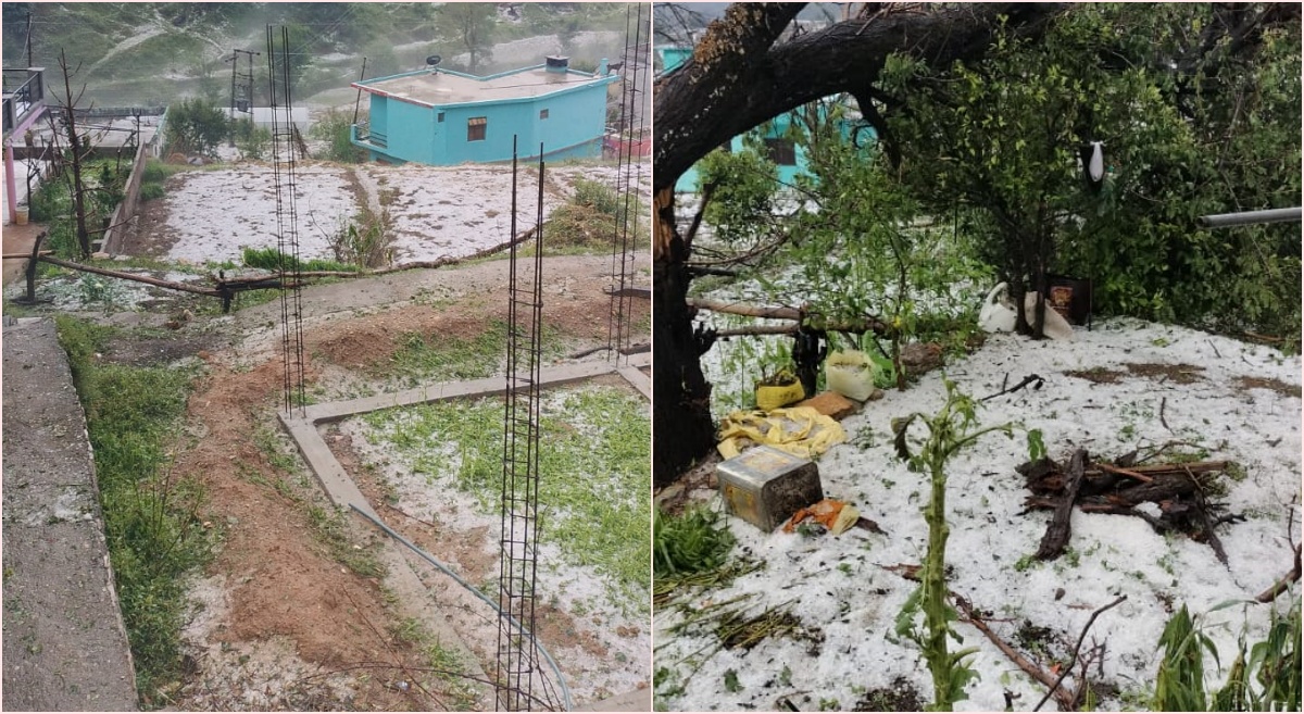 Crop Damaged by Hail in Someshwar