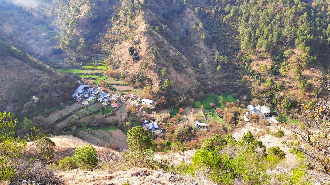 Leopard seen in 4 Villages of Karsog in Mandi.