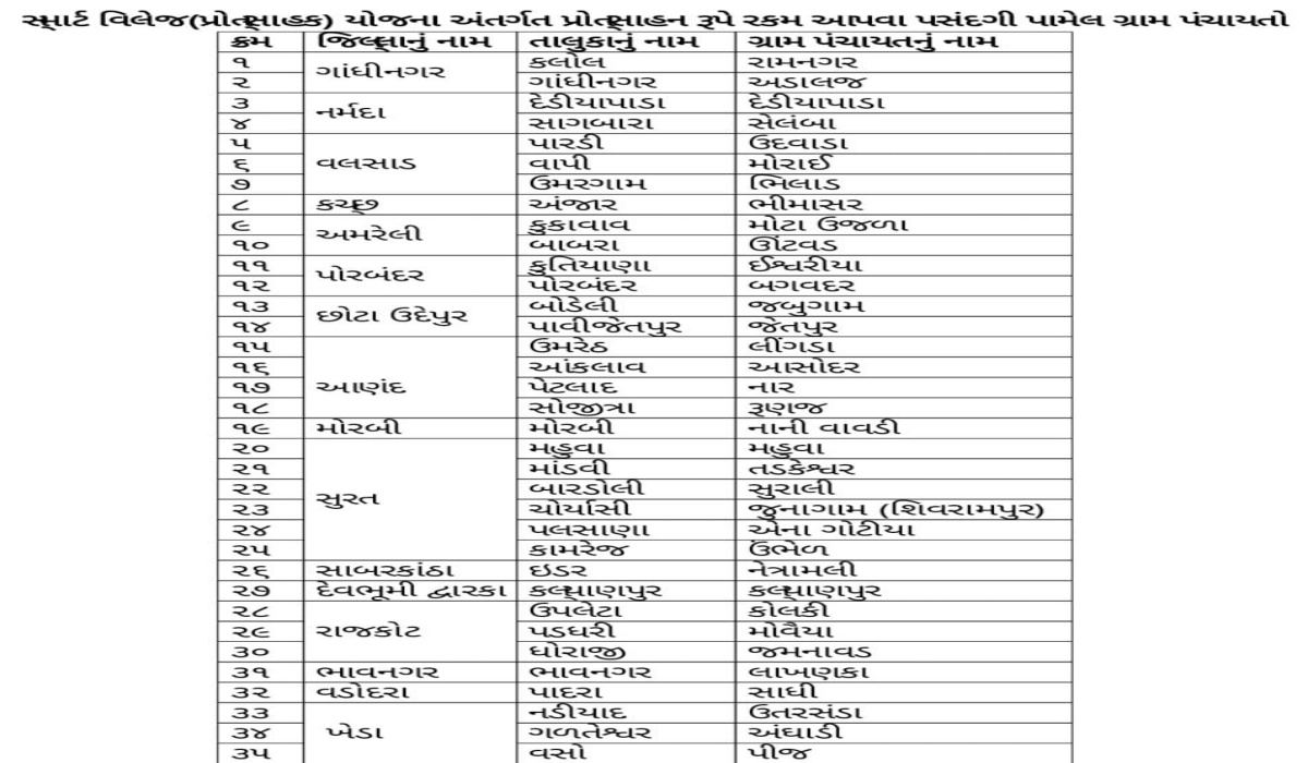16 જિલ્લાની 35 ગ્રામ પંચાયતો સ્માર્ટ વિલેજ જાહેર