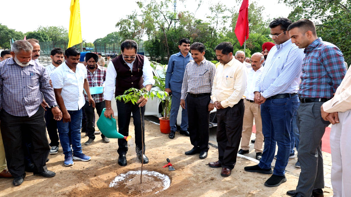 Chandigarh First green corridor work started