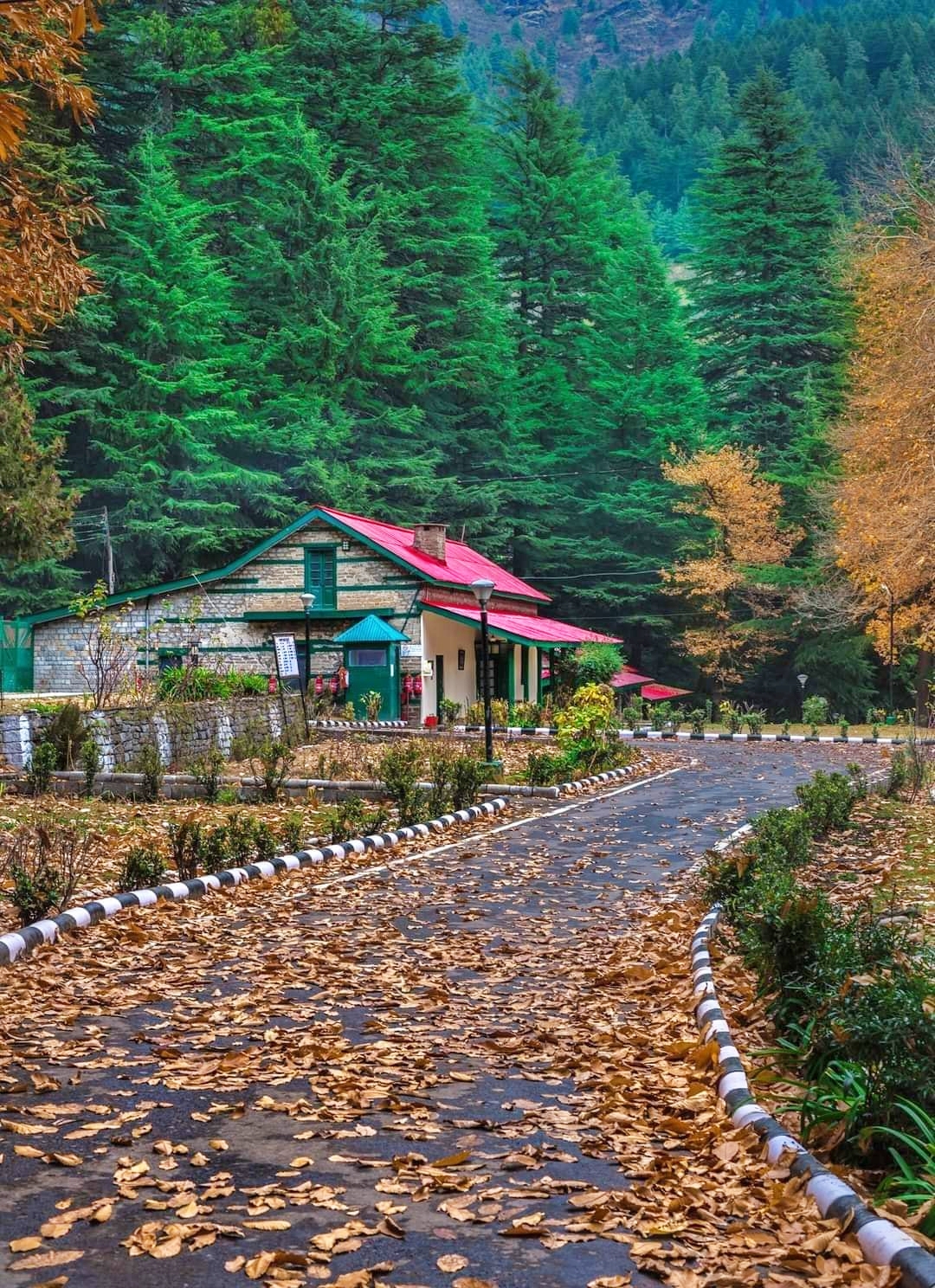 Tourist in shimla