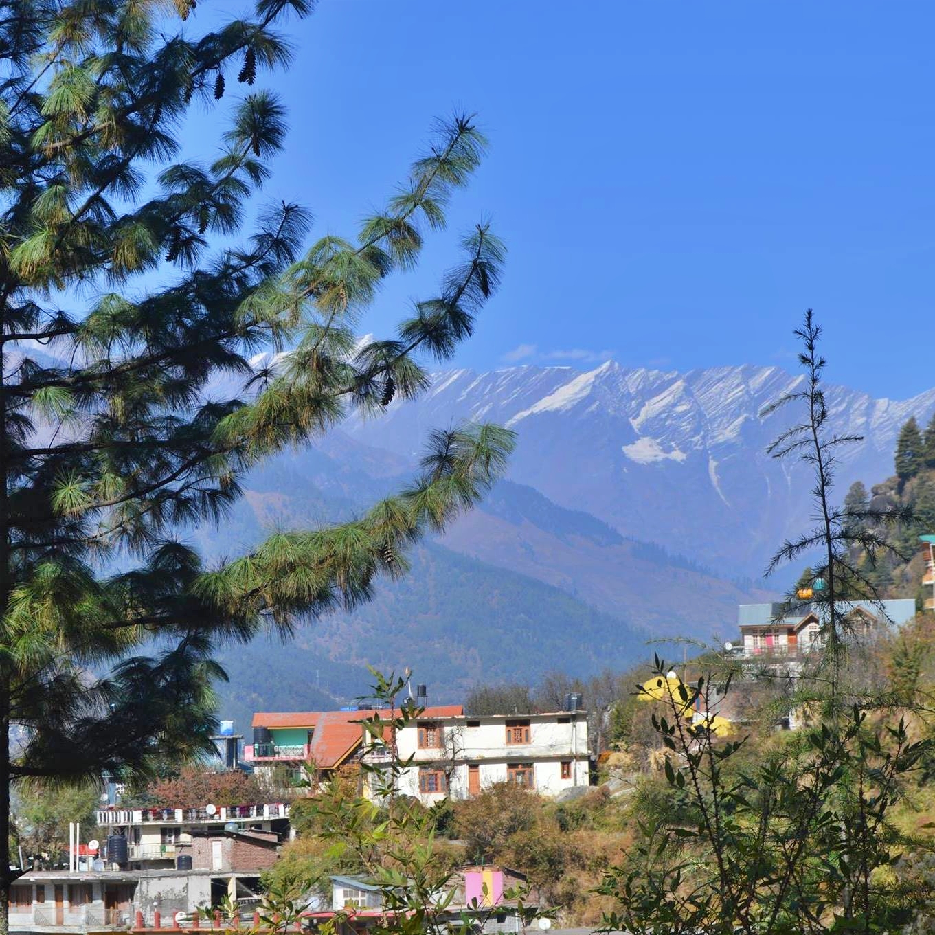 Tourist in shimla