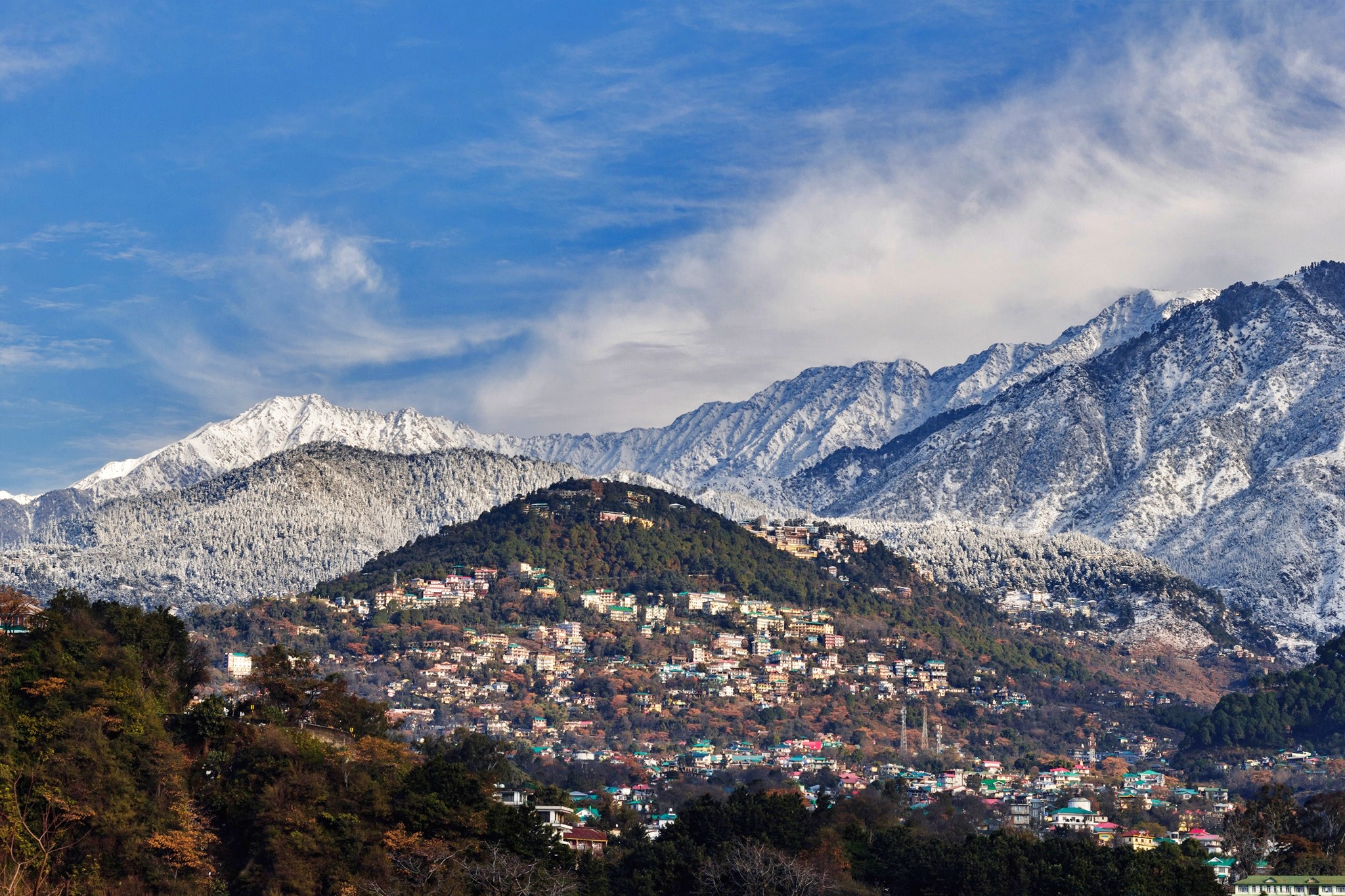 Tourist in shimla