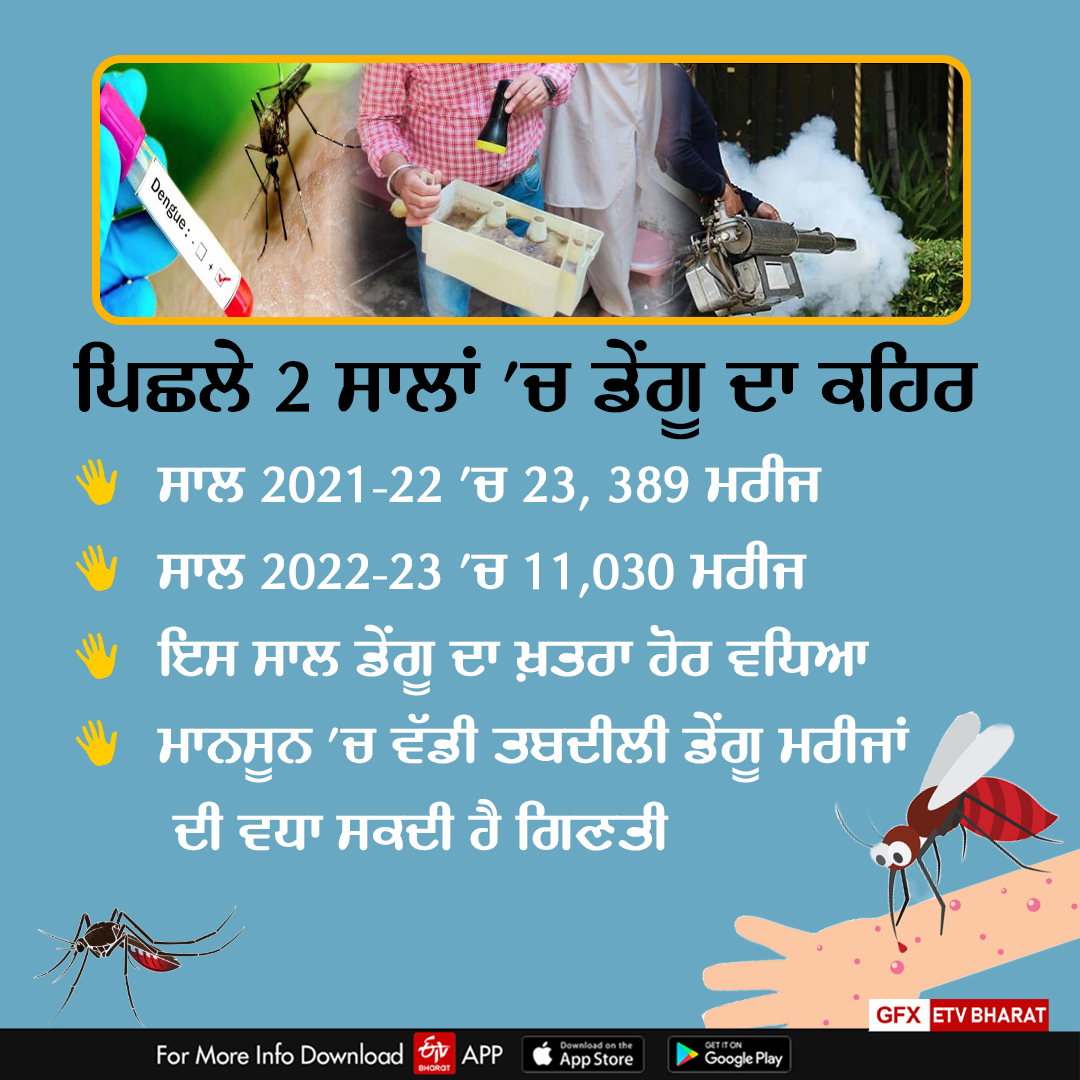 Dengue In Punjab, Bathinda