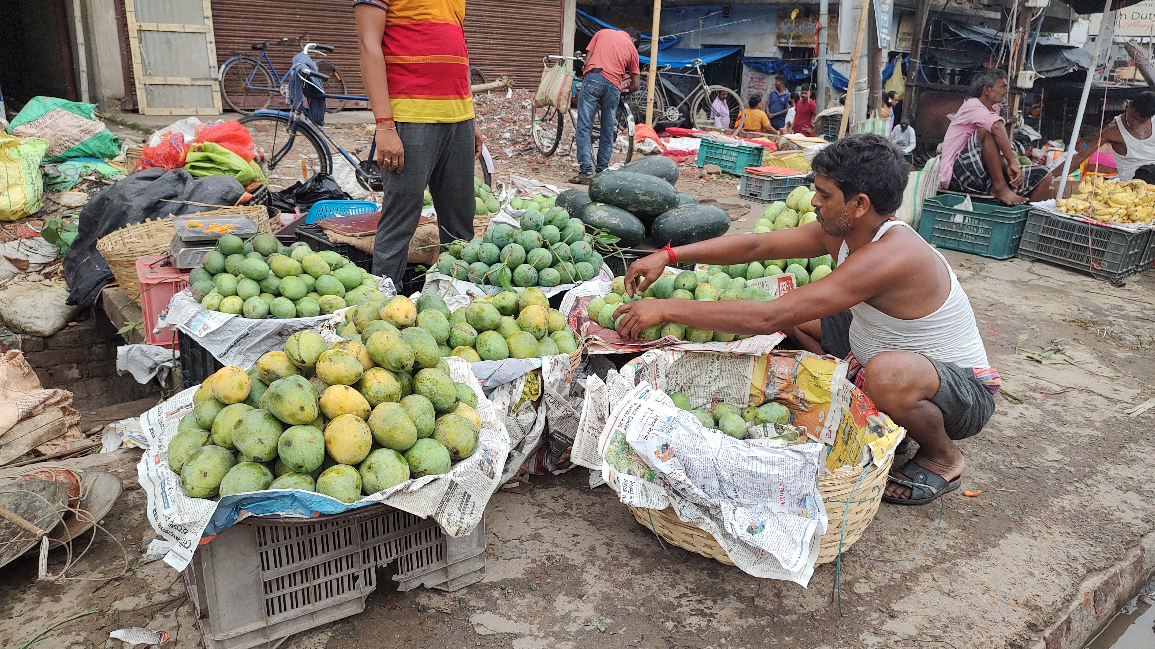 mango-season-in-india-2023-mango-farmers-facing-heavy-losses-in-india-malda-mango-west-bengal