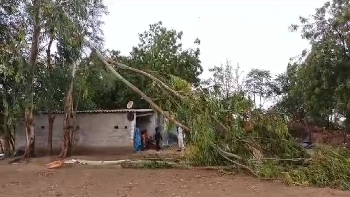 Trees fell at many places due to strong wind