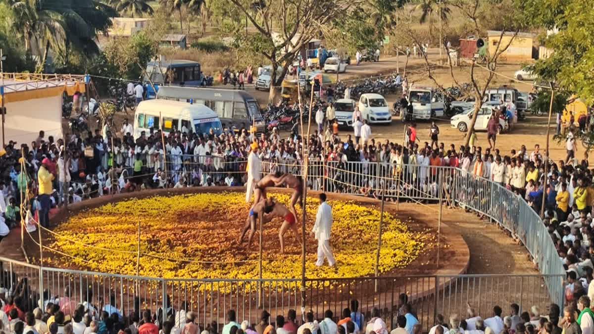 ಸಂಗೊಳ್ಳಿ ರಾಯಣ್ಣ ಉತ್ಸವ  wrestling competition  Sangolli Rayanna Festival  ರಾಷ್ಟ್ರ ಮಟ್ಟದ ಕುಸ್ತಿ ಸ್ಪರ್ಧೆ