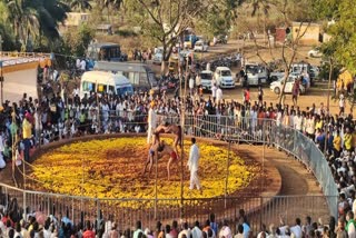 ಸಂಗೊಳ್ಳಿ ರಾಯಣ್ಣ ಉತ್ಸವ  wrestling competition  Sangolli Rayanna Festival  ರಾಷ್ಟ್ರ ಮಟ್ಟದ ಕುಸ್ತಿ ಸ್ಪರ್ಧೆ