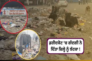 Faridkot Ranking In Sanitation Survey Report