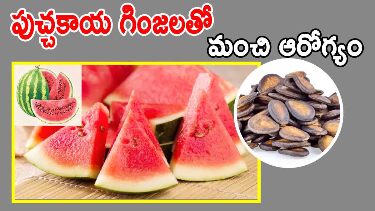 Watermelon Seeds Benefits in Telugu