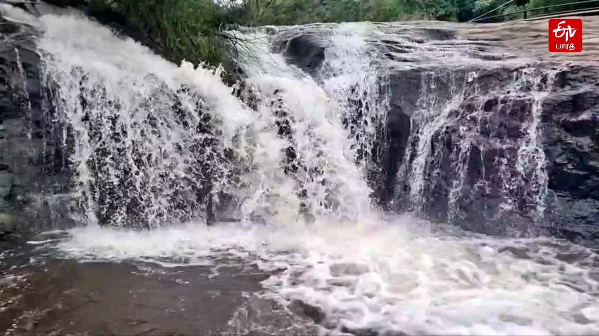 கும்பக்கரை அருவியில் ஆர்ப்பரித்துக் கொட்டும் நீர்