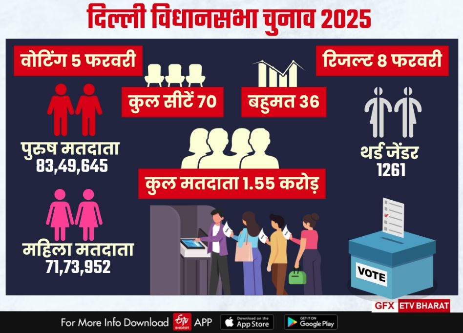 दिल्ली विधानसभा चुनाव 2025