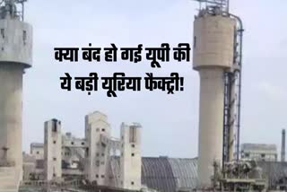 why kanpur biggest fertilizer factory locked know reason.