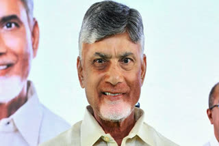 Andhra Pradesh Chief Minister N Chandrababu Naidu