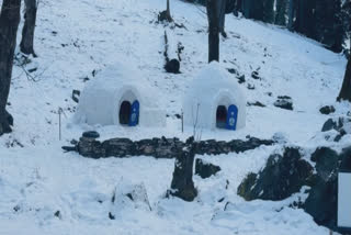 Manali: Experience Magic Of Staying In Igloo As Sethan Village Turns Snow House Dream Into Reality