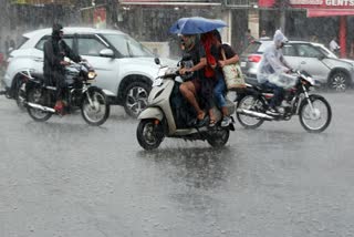 YELLOW ALERTS  കേരളം മഴ  KERALA WEATHER  WEATHER UPDATES