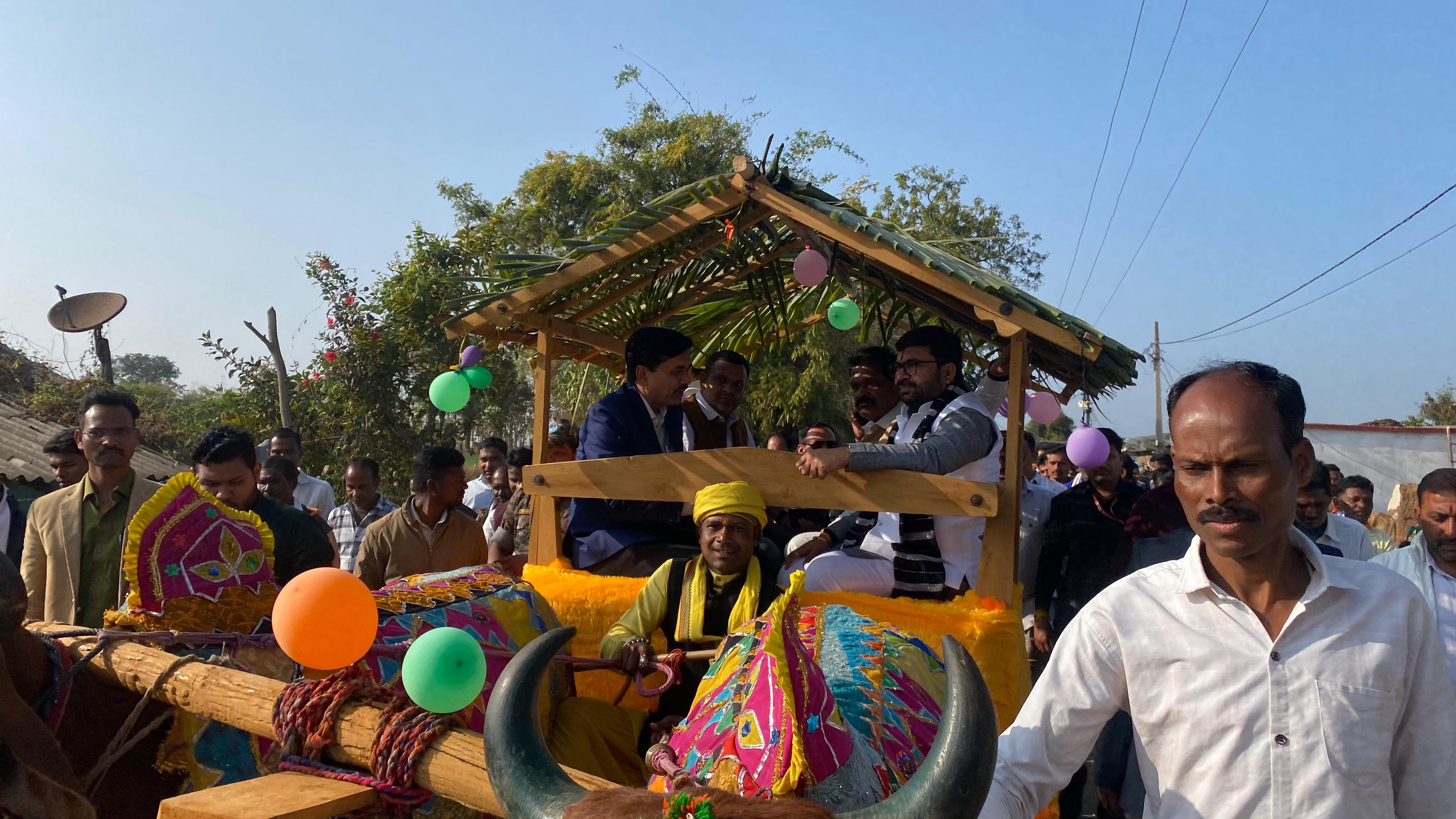 tourists jungle safari by bullock cart