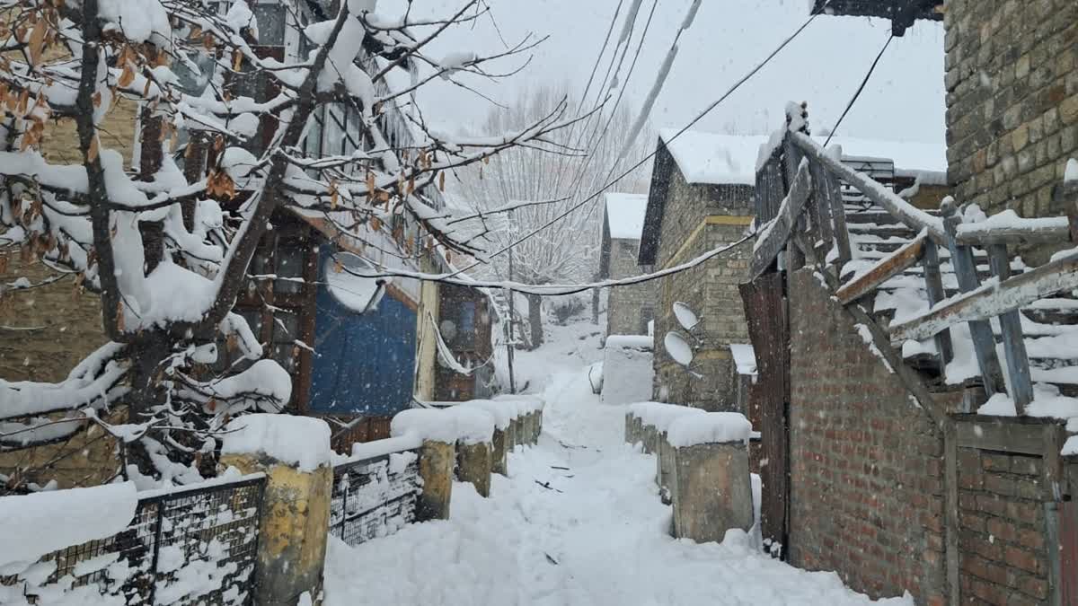 Fresh snowfall in Himacal Pradesh