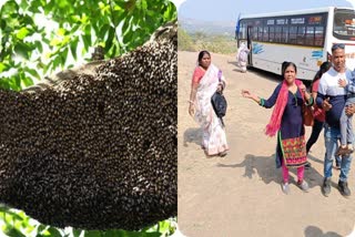 Bee Attack In Pune