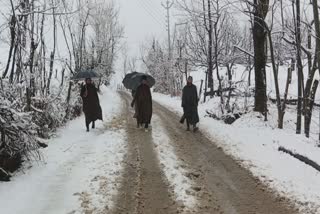 higher-reaches-of-pulwama-receives-heavy-snowfall
