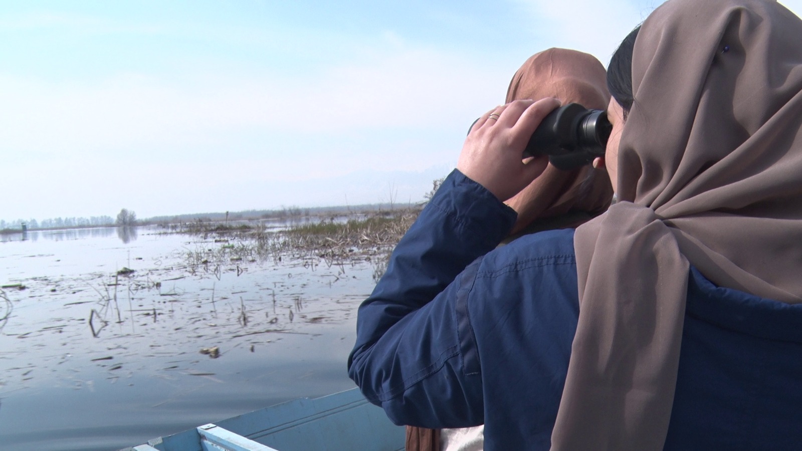 Asian Waterbird Census 2025 Unites Bird Lovers In Kashmir