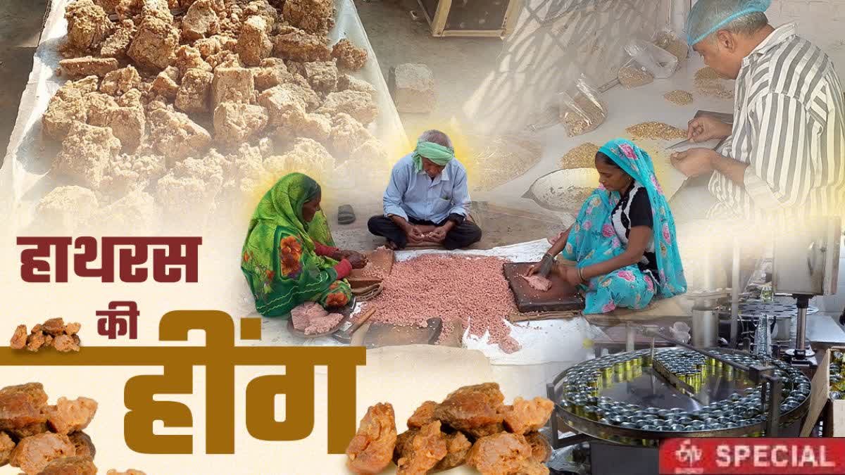 what is history of hathras heeng asafoetida trade with afghanistan know whole story