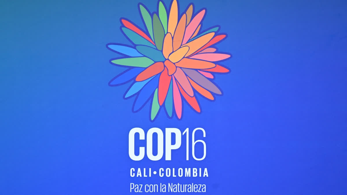 ) Picture of the logo of the upcoming COP16 at the Pacific Event Center where the conference will be held, in Yumbo, just north of Cali, Valle del Cauca Department, Colombia, taken on October 17, 2024.