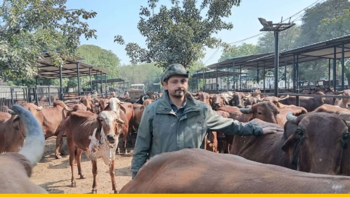 Diary farming in ghaziabad