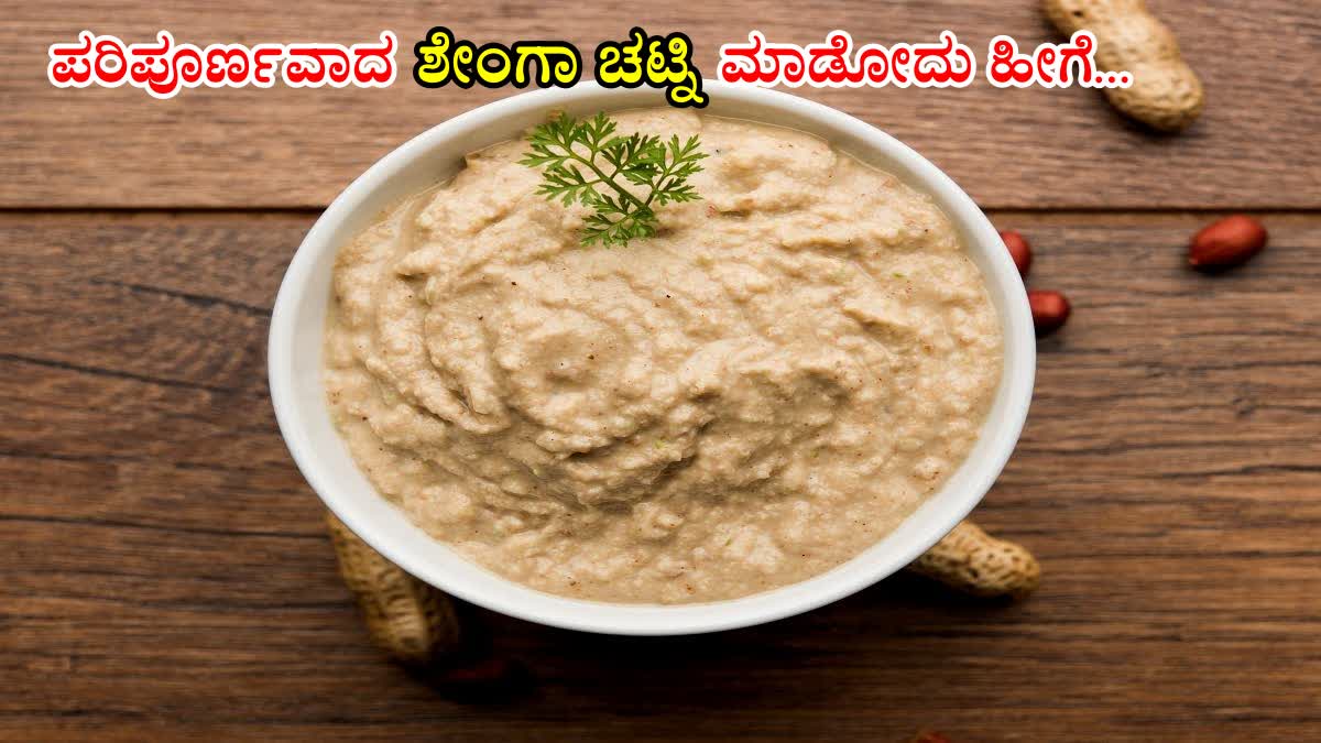 HOW TO MAKE PEANUT CHUTNEY  PEANUT CHUTNEY RECIPE  GROUNDNUT CHUTNEY  PEANUT CHUTNEY MAKING PROCESS