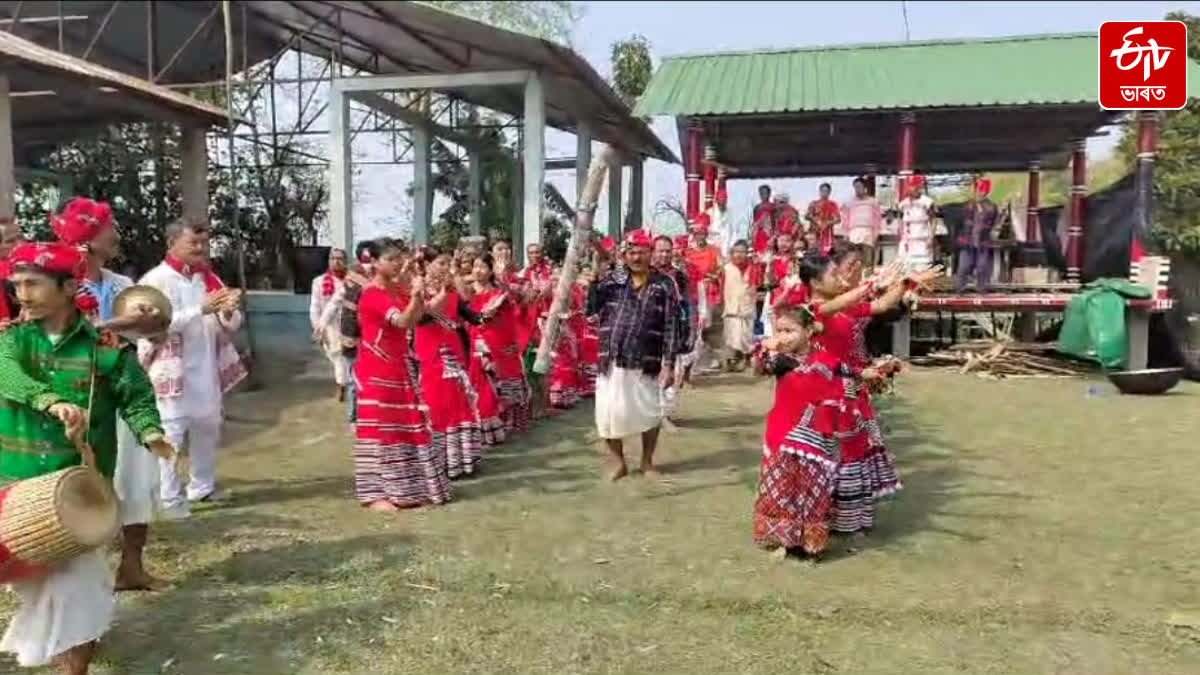 Traditional festival of mising community ali aye ligang celebrated across the Assam