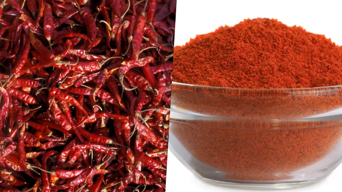 adulterated_red_chili_powder