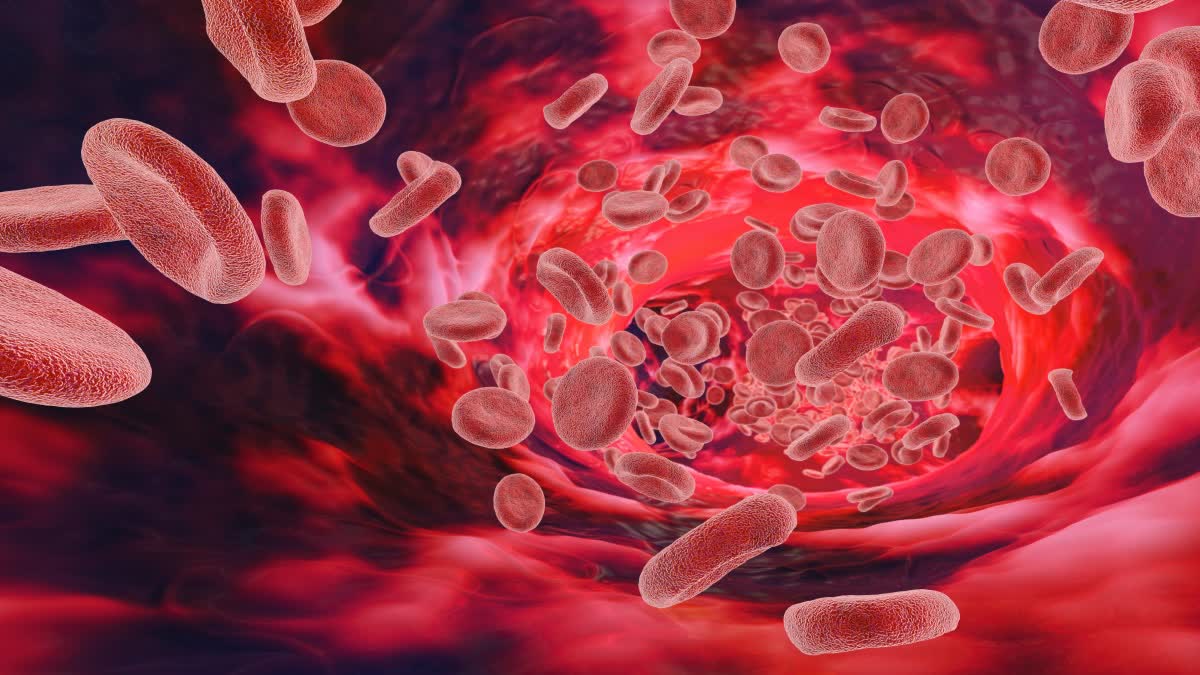 HEMOGLOBIN NORMAL RANGE