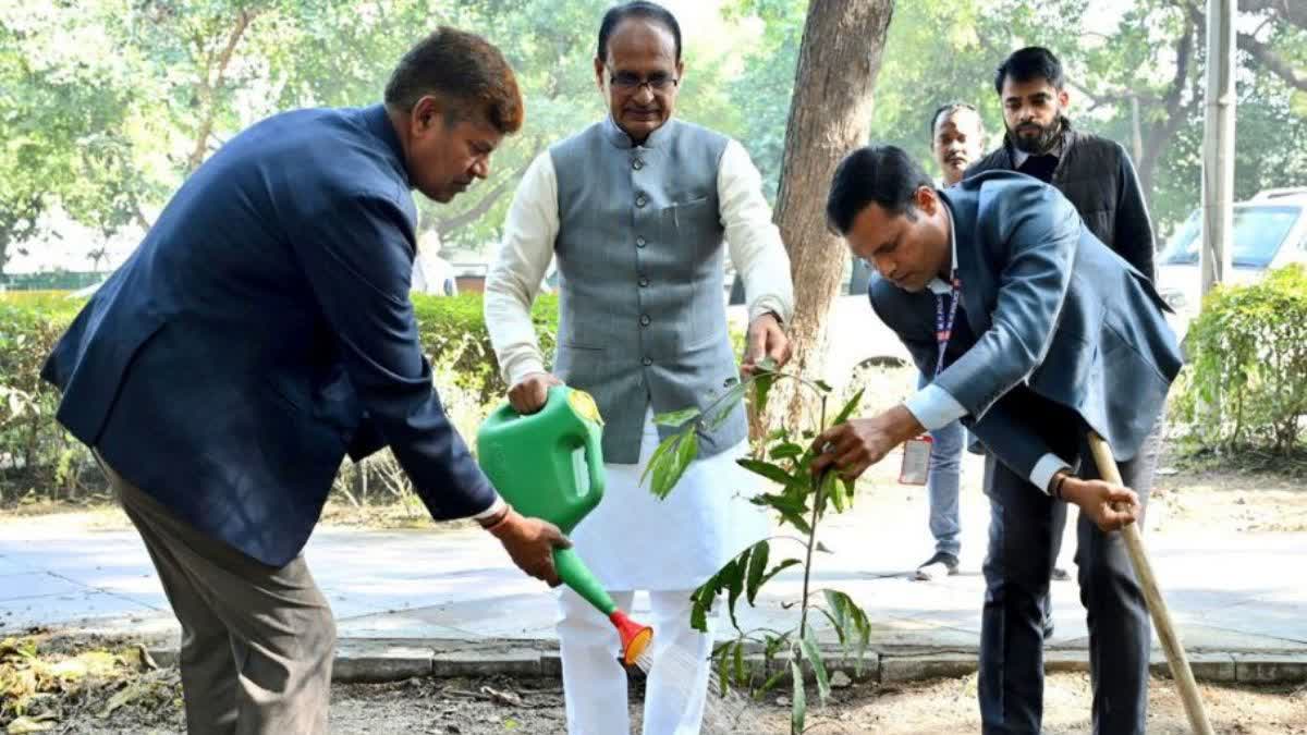 SHIVRAJ PLANTATION CAMPAIGN