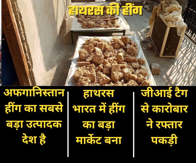 what is history of hathras heeng asafoetida trade with afghanistan know whole story