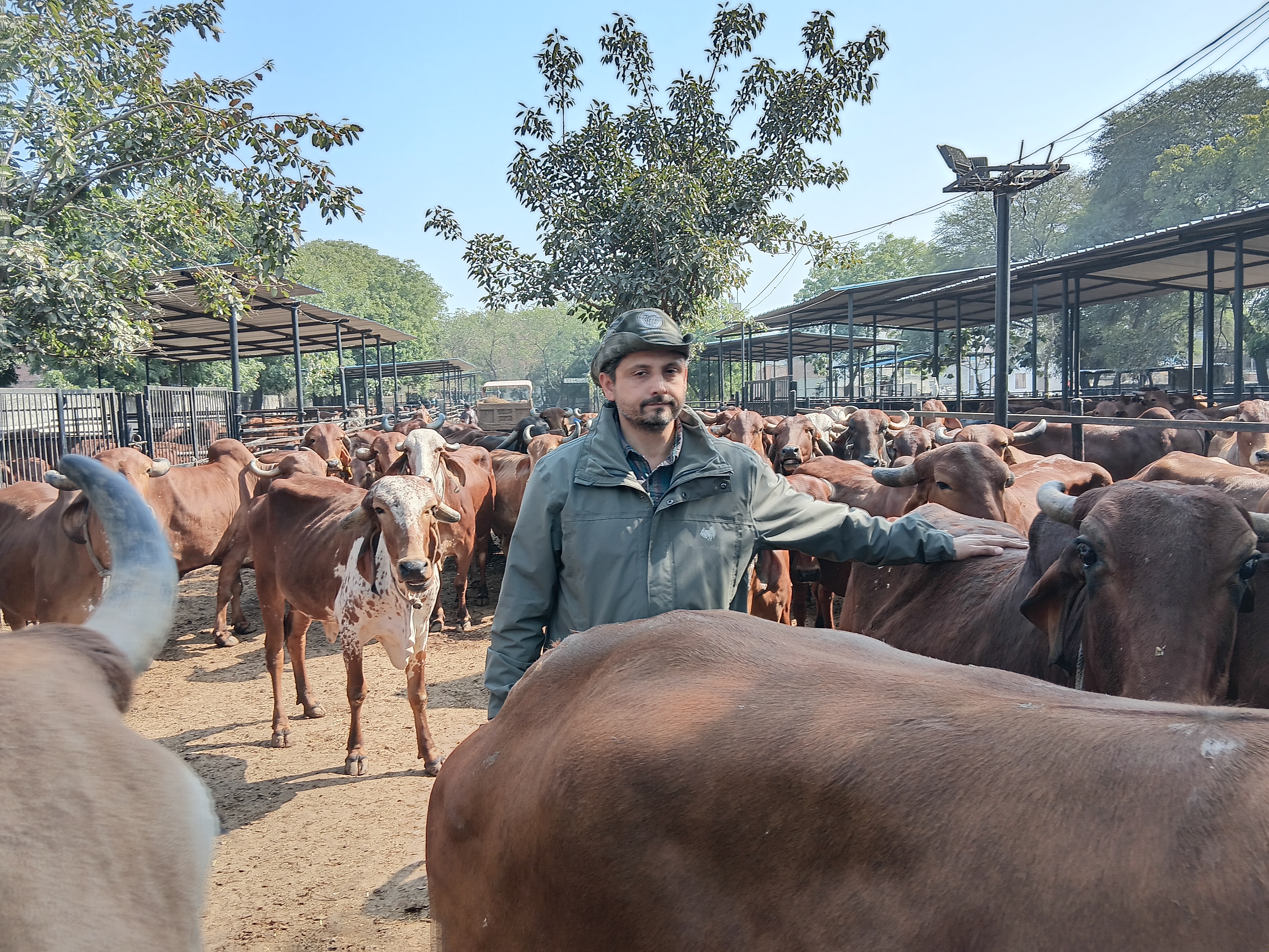 આજે દૂધ 180 રૂપિયા પ્રતિ લીટરના ભાવે વેચાય છે