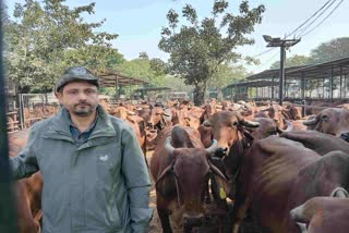 TECHIE DAIRY FARM SUCCESS STORY