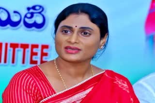 YS Sharmila Fires On Jagan Mohan Reddy On Twitter