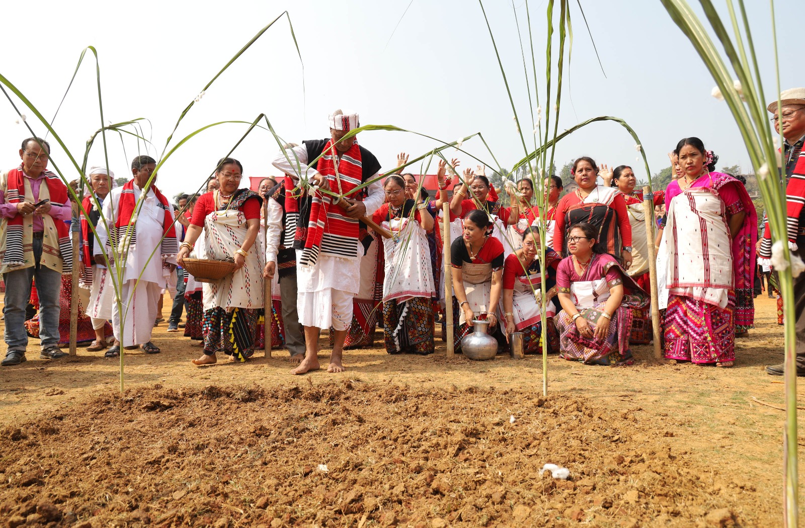 ALI AYE LIGANG in Guwahati