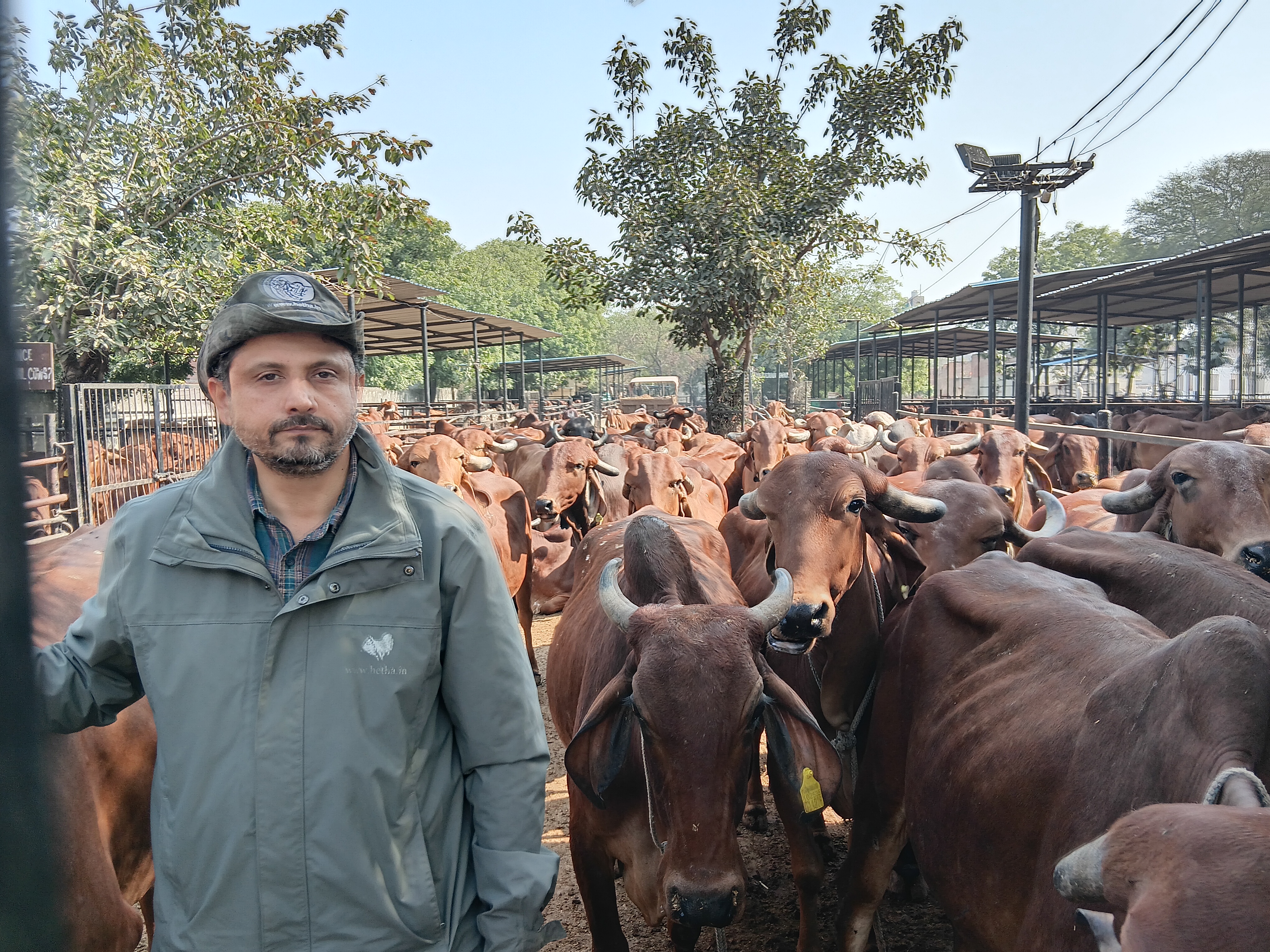 Software Engineer Dairy Farm Success Story