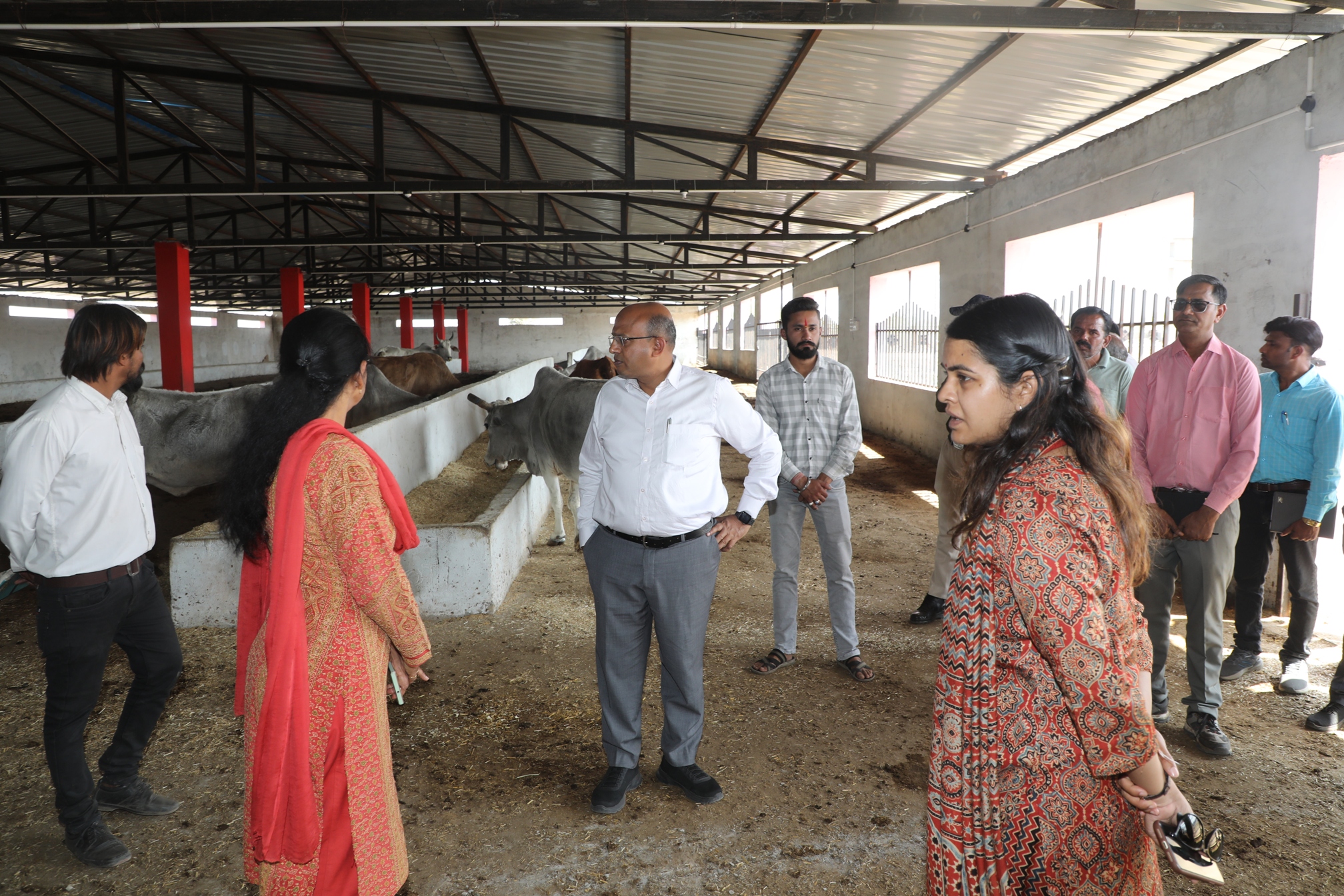 collector inspected cowshed