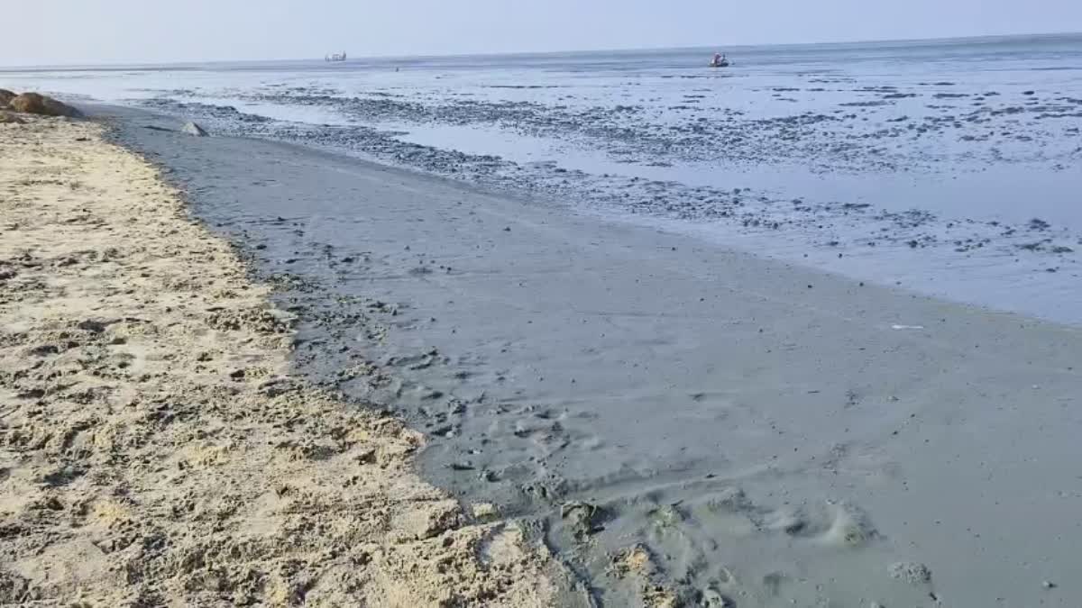 Sea recedes in Alappuzha  Alappuzha news  Purakkad beach  Purakkad local news