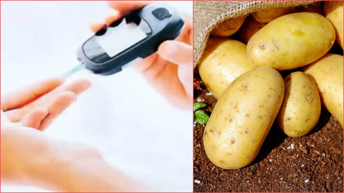 Potato Vs Sweet Potato For Diabetes
